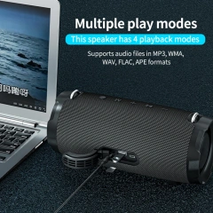 40W Output IPX5 Waterproof Rechargeable Bluetooth Hi-Fi Speaker with Wireless Karaoke Mic P9MiniUHF