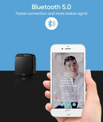 Portable Bluetooth Speaker with Wireless Headset Microphone Support TF Card USB Flash Driver S613