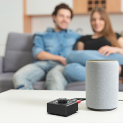 Bluetooth 5.2 Audio Receiver – Compact Wireless Adapter with AUX & RCA Output B06T3