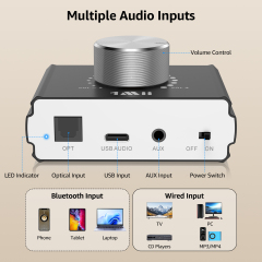 1Mii Bluetooth Amplifier Receiver Hi-Fi Wireless Audio Adapter TV PC to Speakers Digital Audio Receiver with Volume Control B75