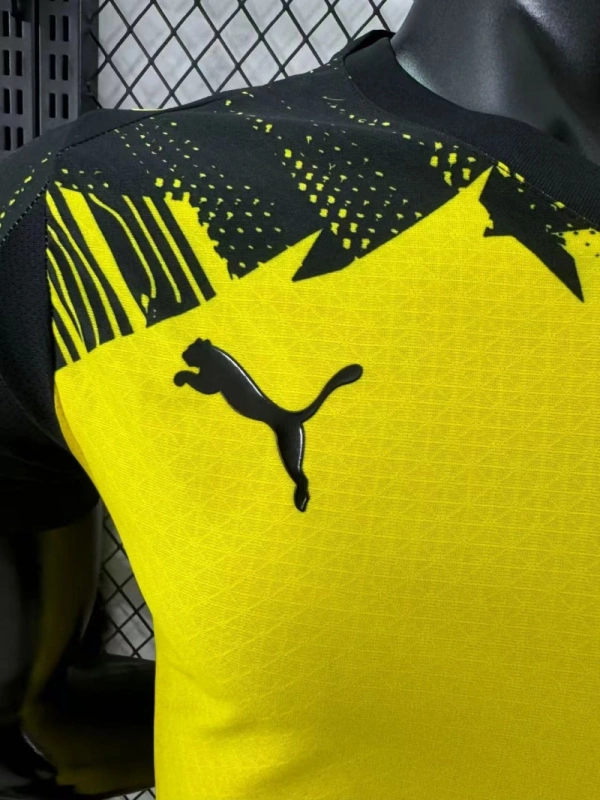 2025-26 Borussia Dortmund Home Soccer Jersey Player Version