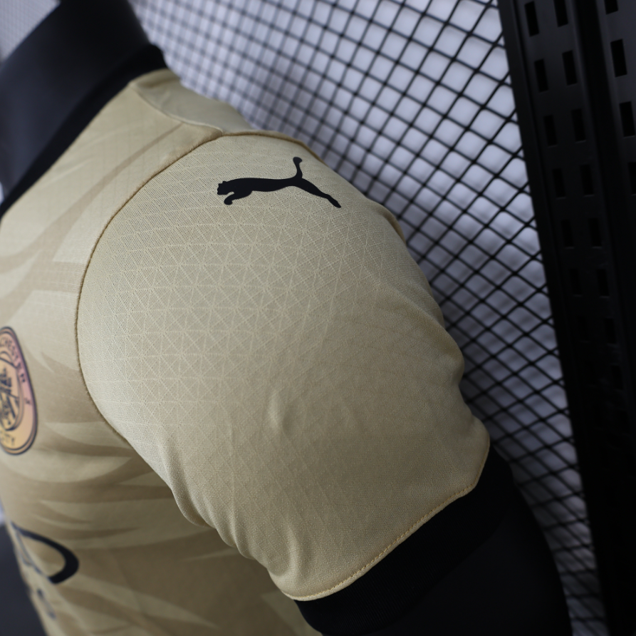 24-25 Player Manchester City Special Edition SoccerJersey