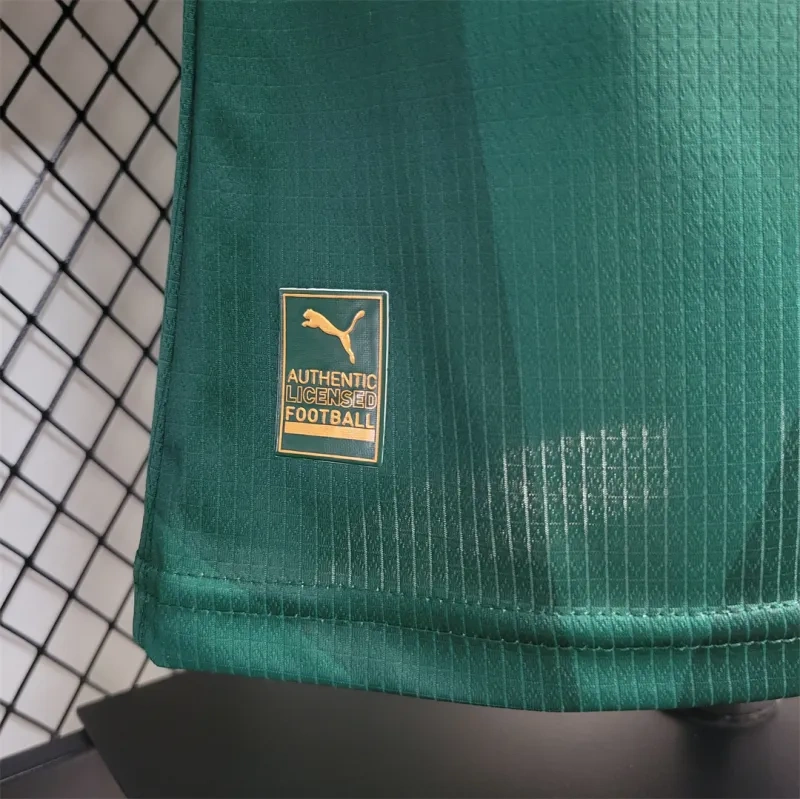 SE Palmeiras 2023/24 Home Jersey Player Version