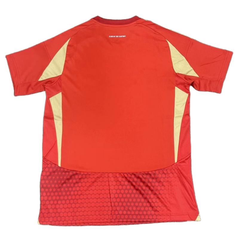 24-25 Ahli jersey home short sleeved football jersey