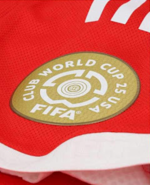 24-25 Bundesliga Champion Armband