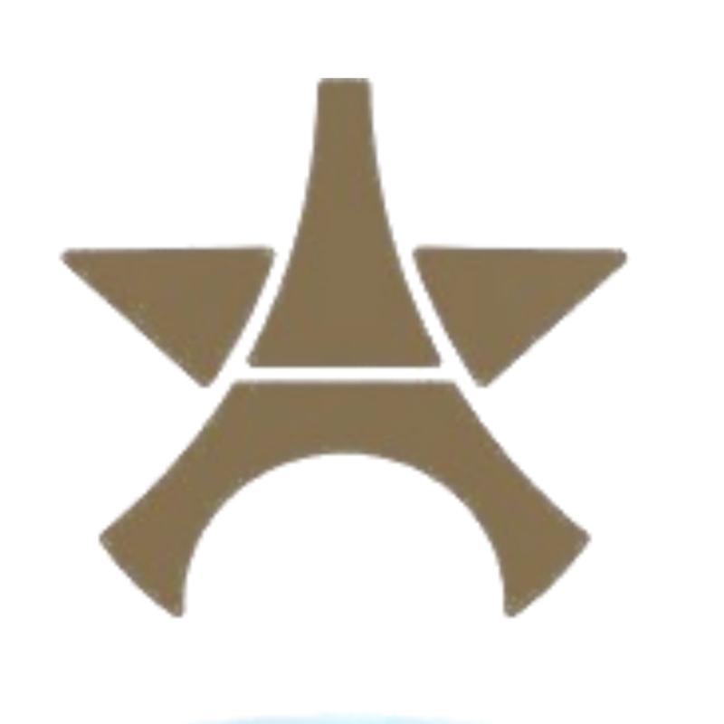 Champions League team emblem with star pattern