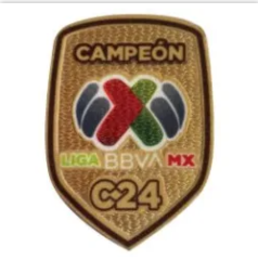 LIGA C24