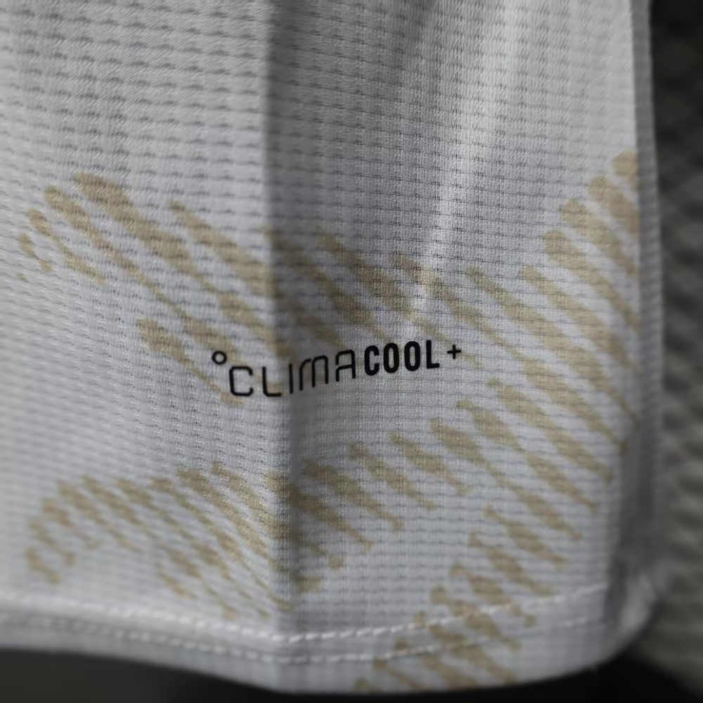 2026 Wales World Cup Home Football jersey Player edition