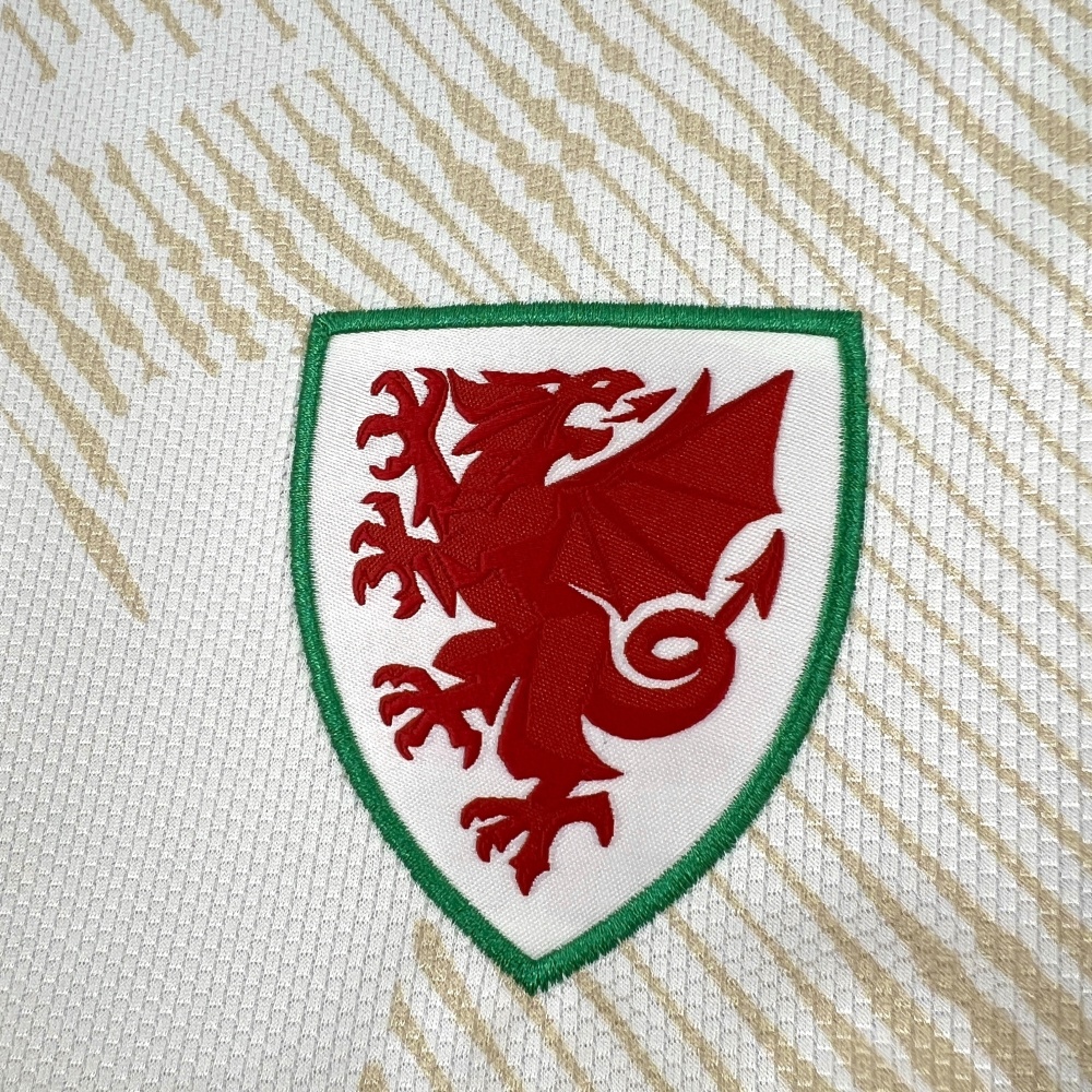 2026 Wales World Cup Away Football jersey Fan edition
