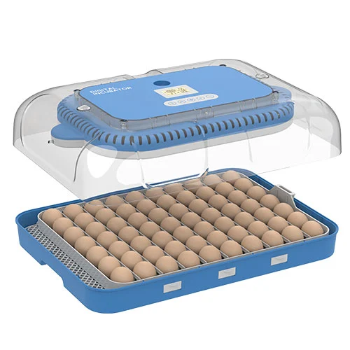 Buy 70-egg digital automatic remperature big incubator for farmer