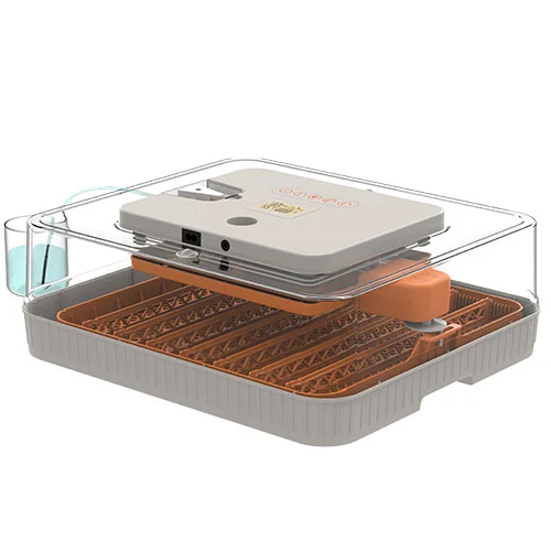 Large home 56-egg automatic incubator for chicken eggs hatching
