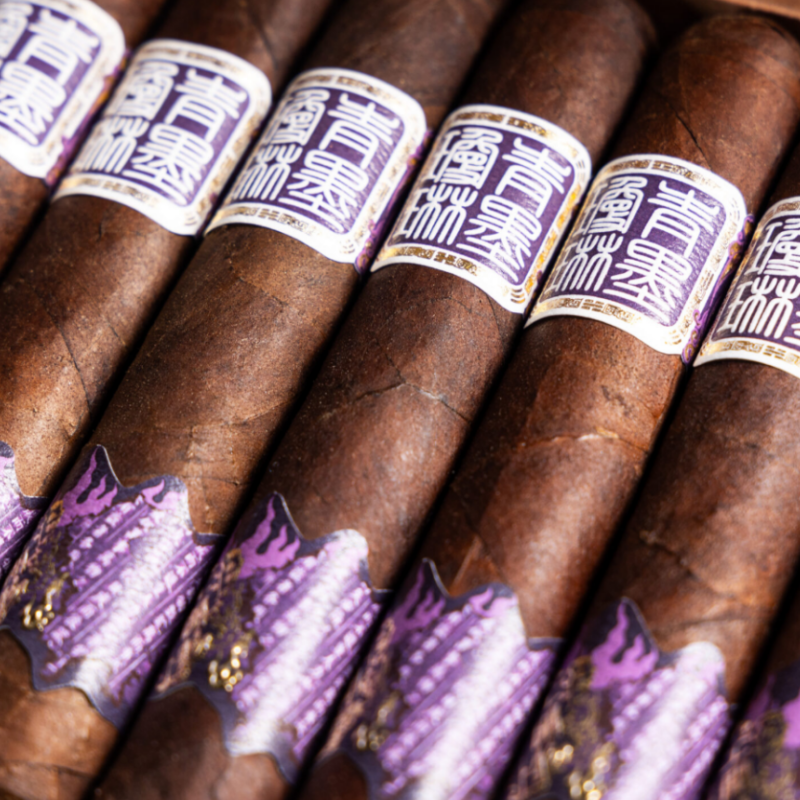 ChìMolly Pioneer Robusto  青墨琼琳 先驱罗布图 20支/盒