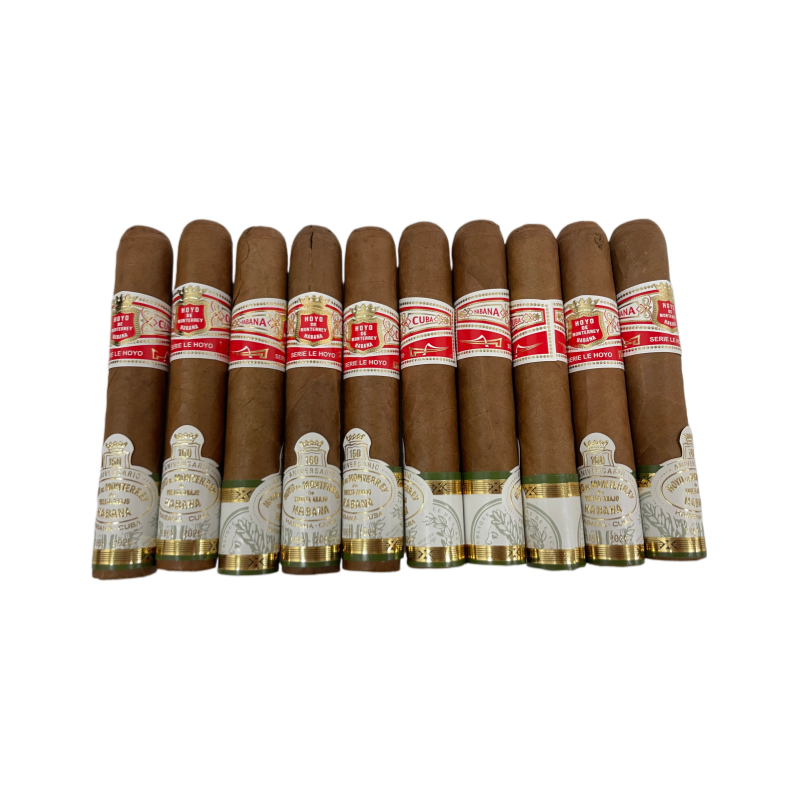 Hoyo de Monterrey Le Hoyo de Rio Seco 160 Aniversario 10s 好友蒙特雷 德里约赛科 160周年限量版 10支 破损样盒 编号 （256）