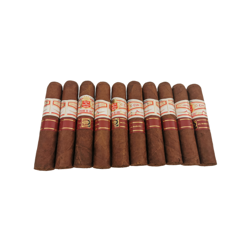 Hoyo de Monterrey Epicure de Luxe 10s 好友 蒙特雷 奢华 美食家 10支 破损样盒 编号 （316）