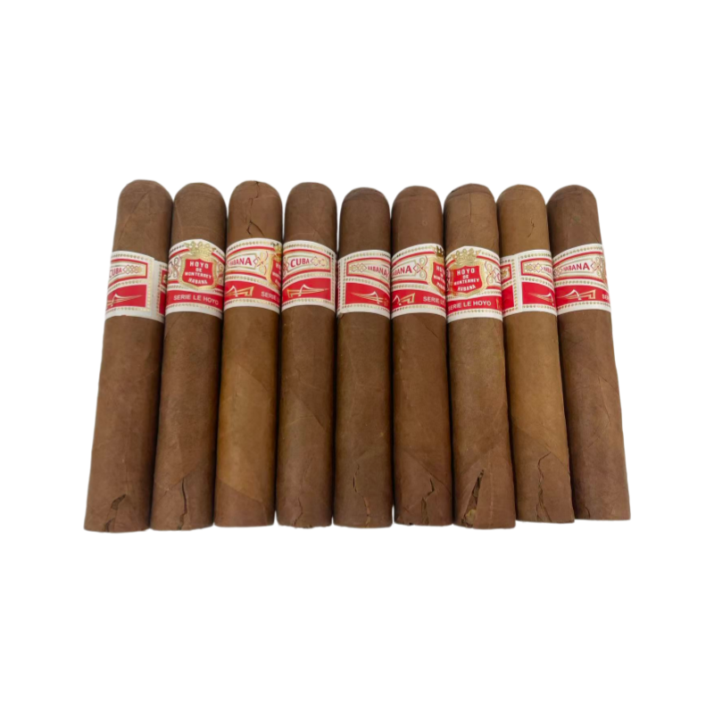HOYO de MONTERREYL  LE HOYO DE RIO SECO 9s 好友 德里约赛科 9支  破损样盒 编号 （330）