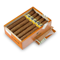 Cohiba Cigars | Siglo VI高希霸世紀六號 10支/盒