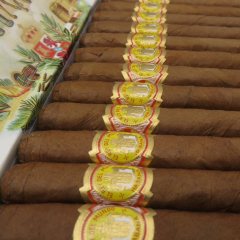 El Rey del Mundo Cigar｜Demi Tasse 世界之王 小咖啡杯 25支/盒