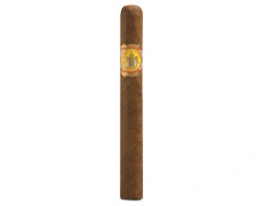 El Rey del Mundo Cigar｜Demi Tasse 世界之王 小咖啡杯 25支/盒