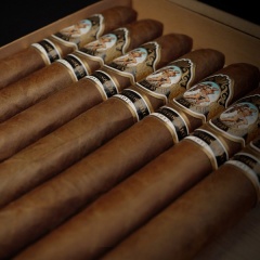 God of Fire Cigar ｜ Serie Aniversario 54 火神周年纪念2020 54 10支/盒