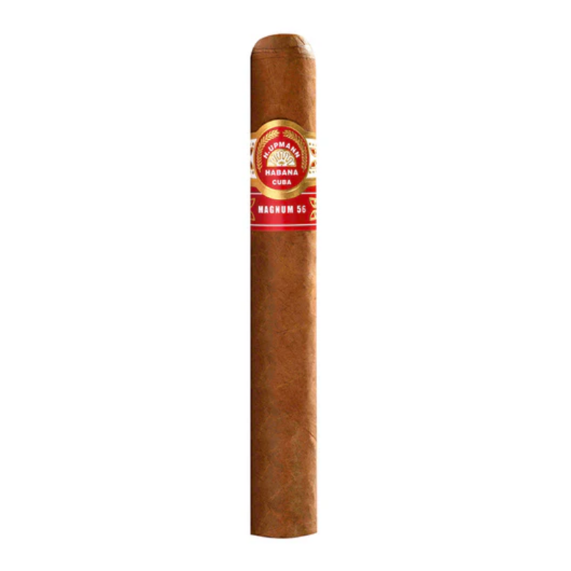 澳门 H. Upmann Magnum 56  Jarra 20s 乌普曼 玛瑙56 免税及旅游零售系列 20支/罐