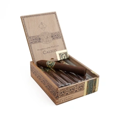 Casdagli Daughters of the Wind Line Calico 12s 卡斯达格利 风之女 印花布 12支/盒（澳门自提）