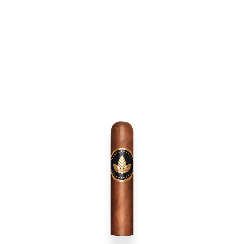 CONFIDENCIAAL CORTO 20S 秘密 科尔托 20支/盒（澳门自提）