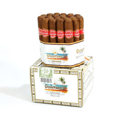 Quintero Petit Quintero 金特罗 小金特罗 25支/盒（澳门自提）