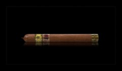 Trinidad Villa LCDH 12s 特立尼达 别墅LCDH 12支/盒（澳门自提）