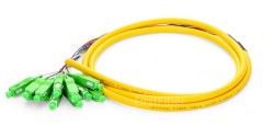 12 Color SC APC fiber Pigtail Bunch 12 Core 12 Fiber Bunch 9/125 Single Mode