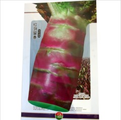 2000 seeds/bags growing lettuce from seed indoors