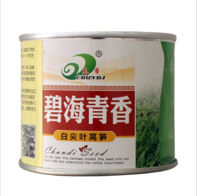 lettuce seeds for planting