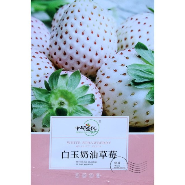 white strawberry seeds