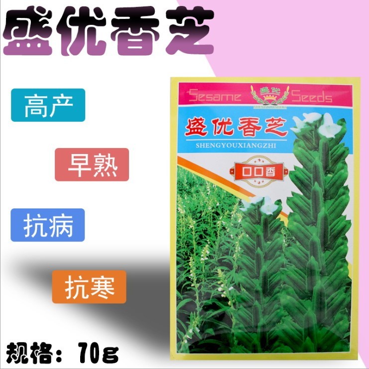 sesame white seeds