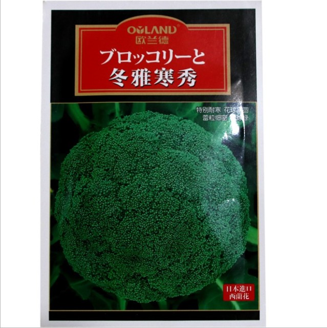 organic broccoli sprout seeds 2000 seeds