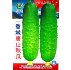 50 seeds climbing cucumber seeds