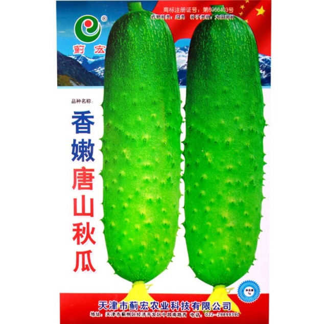 50 seeds climbing cucumber seeds