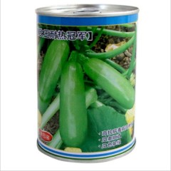 100gram kousa squash seeds