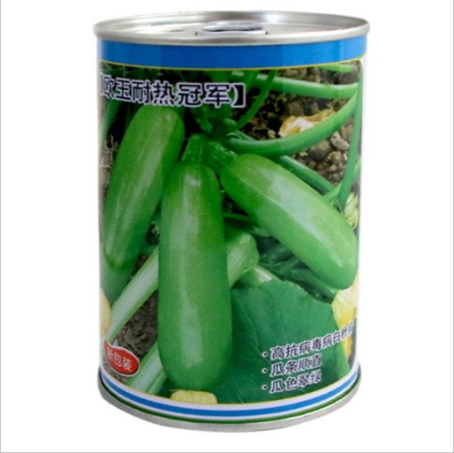 100gram kousa squash seeds