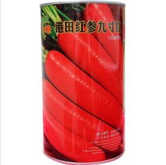 best way to plant carrot seeds 300gram/bags for planting