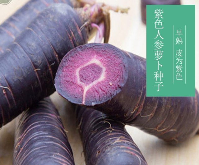 best way to plant carrot seeds