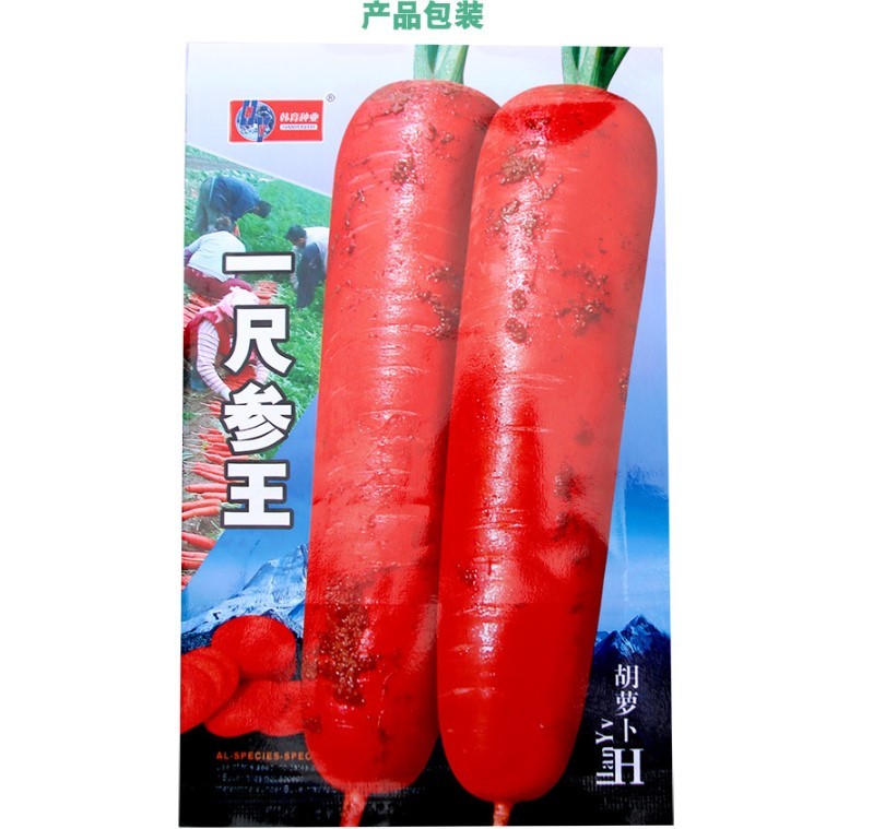 purple carrot seeds 10gram/bags for planting
