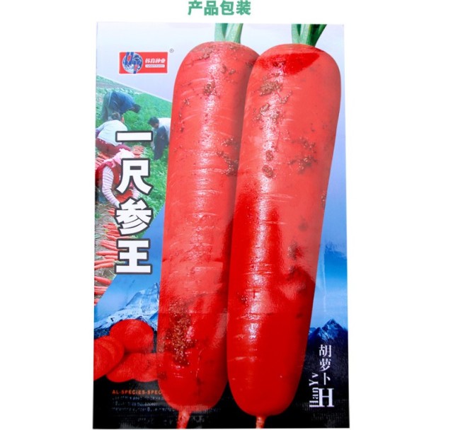 purple carrot seeds 10gram/bags for planting