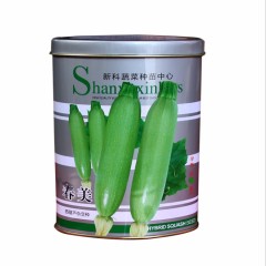 50gram hybrid zucchini squash