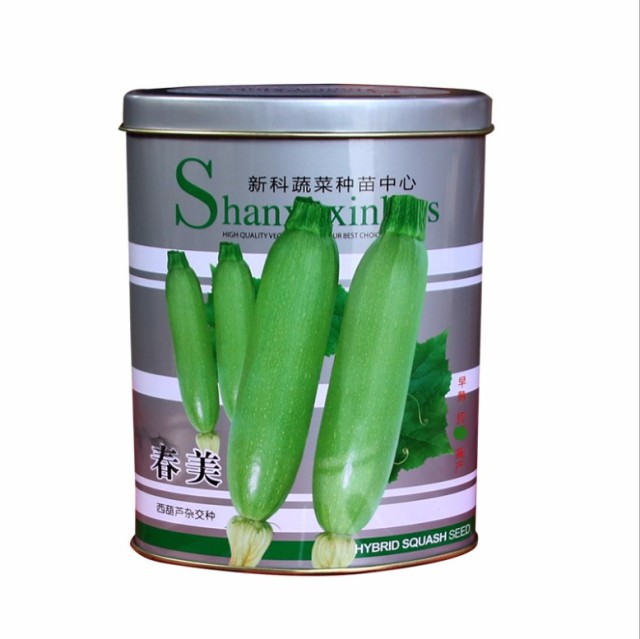 50gram hybrid zucchini squash