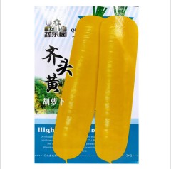 800 seeds germinating carrot seeds