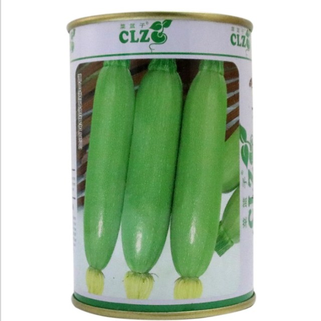 500 seeds green seeds in yellow squash