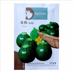 italian squash seeds