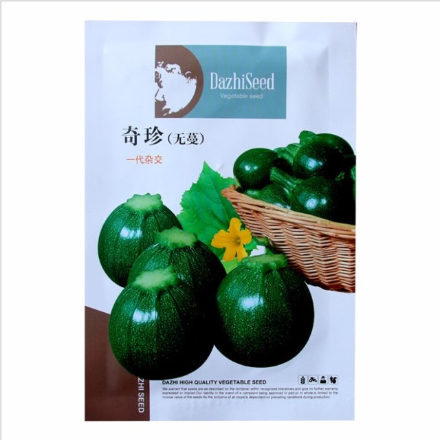 italian squash seeds