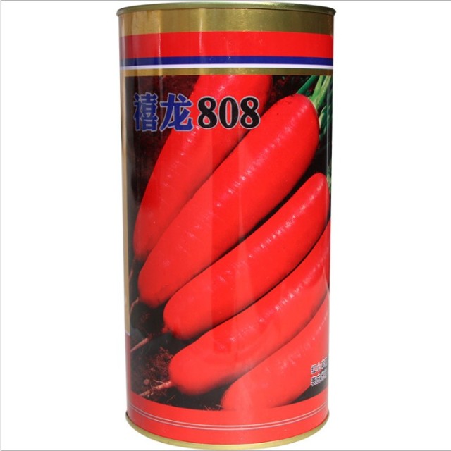 300gram autumn king carrot seeds