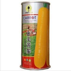 Tender and fresh yellow carrot seeds for growing 300gram/bags
